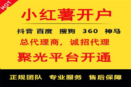 成功运用SEM技术提升网站流量的案例研究